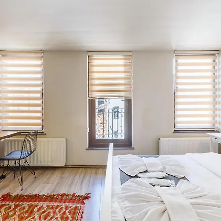Miro Mansion Old 3* 이스탄불