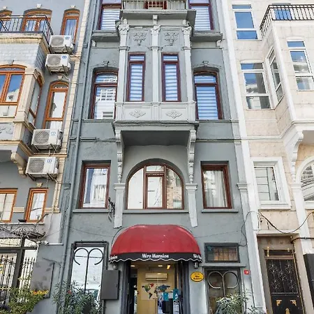 Miro Mansion Old 호텔 이스탄불