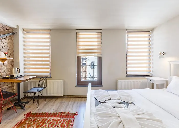 Miro Mansion Old 3* İstanbul