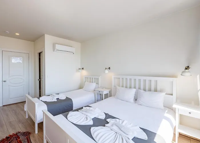 Otel Miro Mansion Old